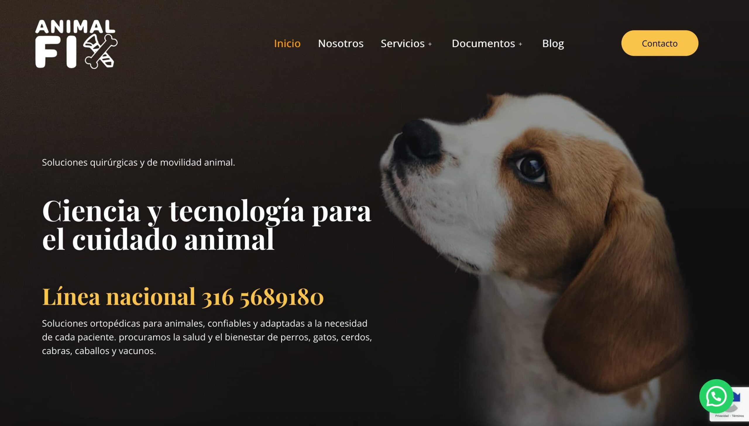 Que Gallo Animal Fix website